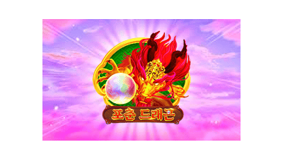 포춘 드래곤